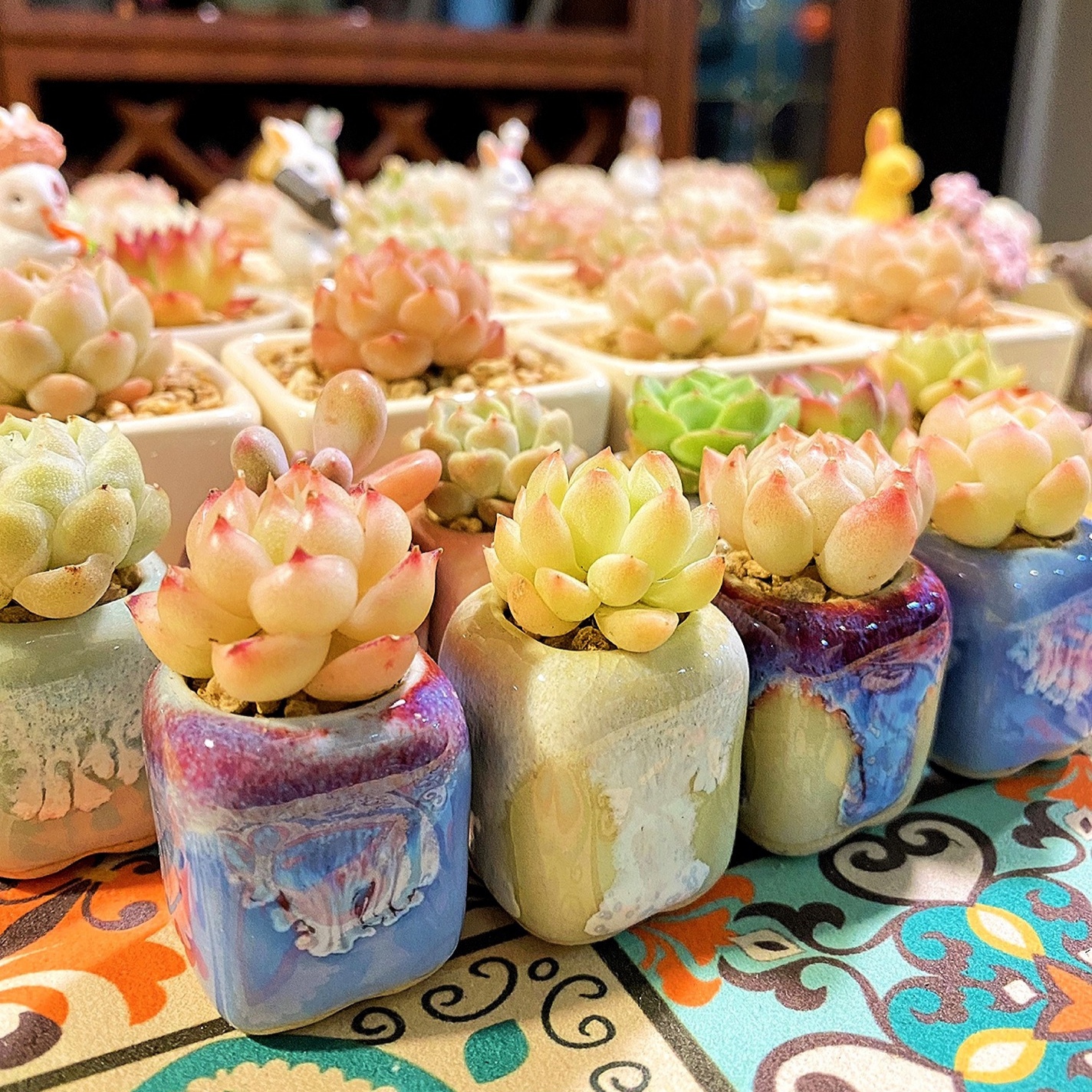 Cactus Mix Pot - 10Pcs Mini Ceramics Fowerpot Mini Lithops