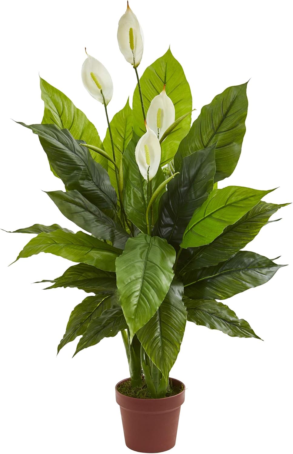 Peace Lily White - 42in Artificial Peace Lily with Real