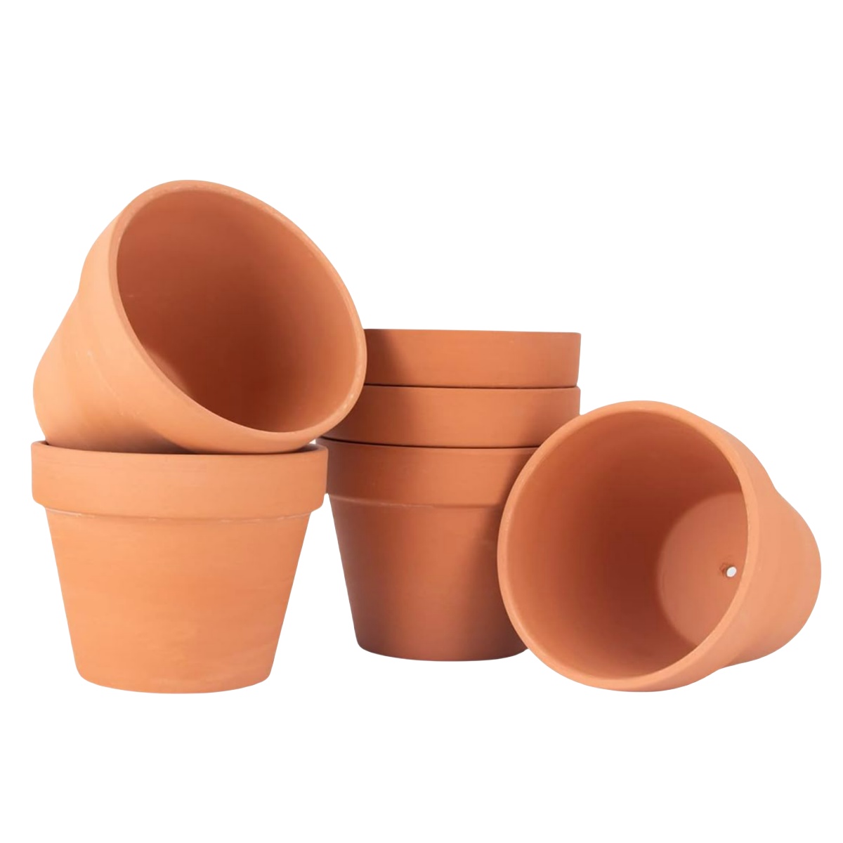 6pcs 4 inch Terracotta Pots Fl – Cactus Mix Pot Bewertung und Preis