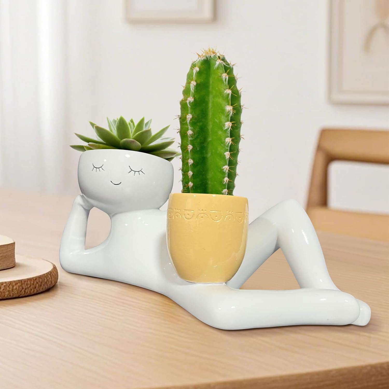 Lazy Little Guy Planter Unique – Cactus Mix Pot Bewertung und Preis