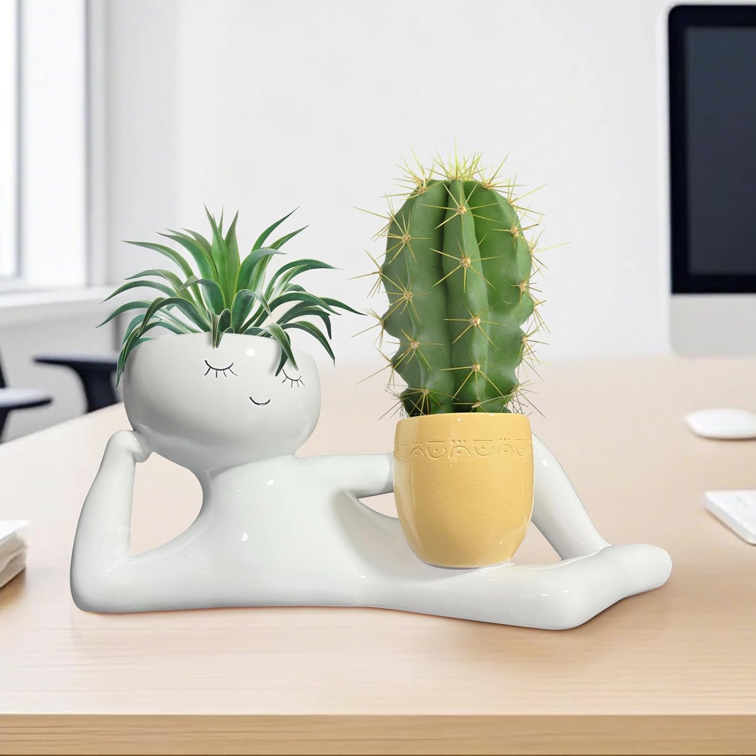 Lazy Little Guy Planter Unique – Cactus Mix Pot Bewertung und Preis