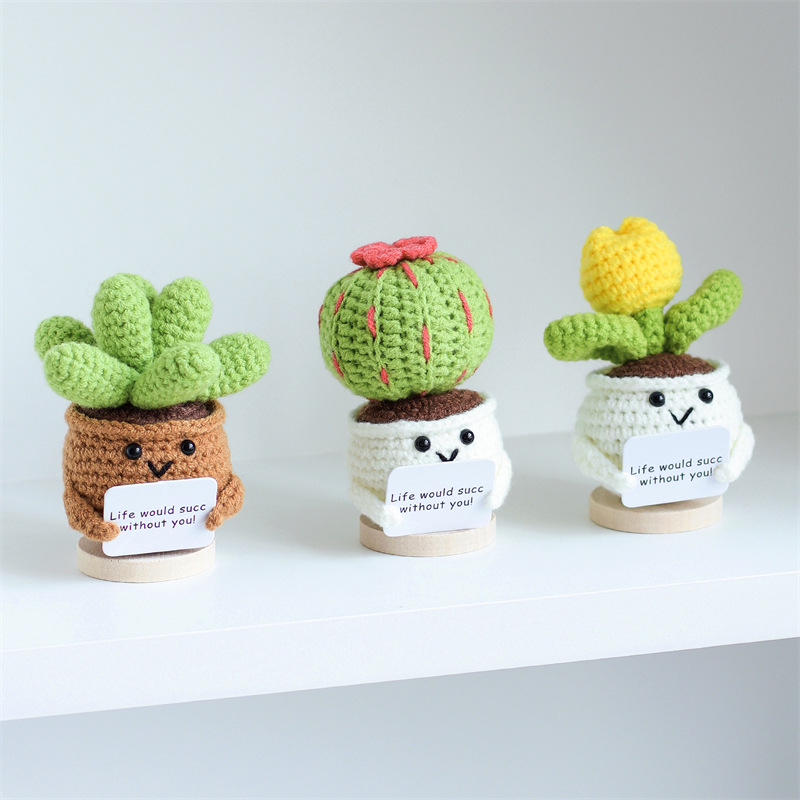 Mini Cute Crochet Flowers Fini – Cactus Mix Pot Bewertung und Preis