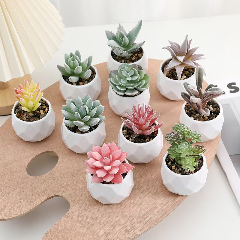 Mini Artificial Plants Simulat – Cactus Mix Pot Bewertung und Preis