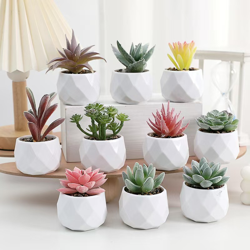 Mini Artificial Plants Simulat – Cactus Mix Pot Bewertung und Preis