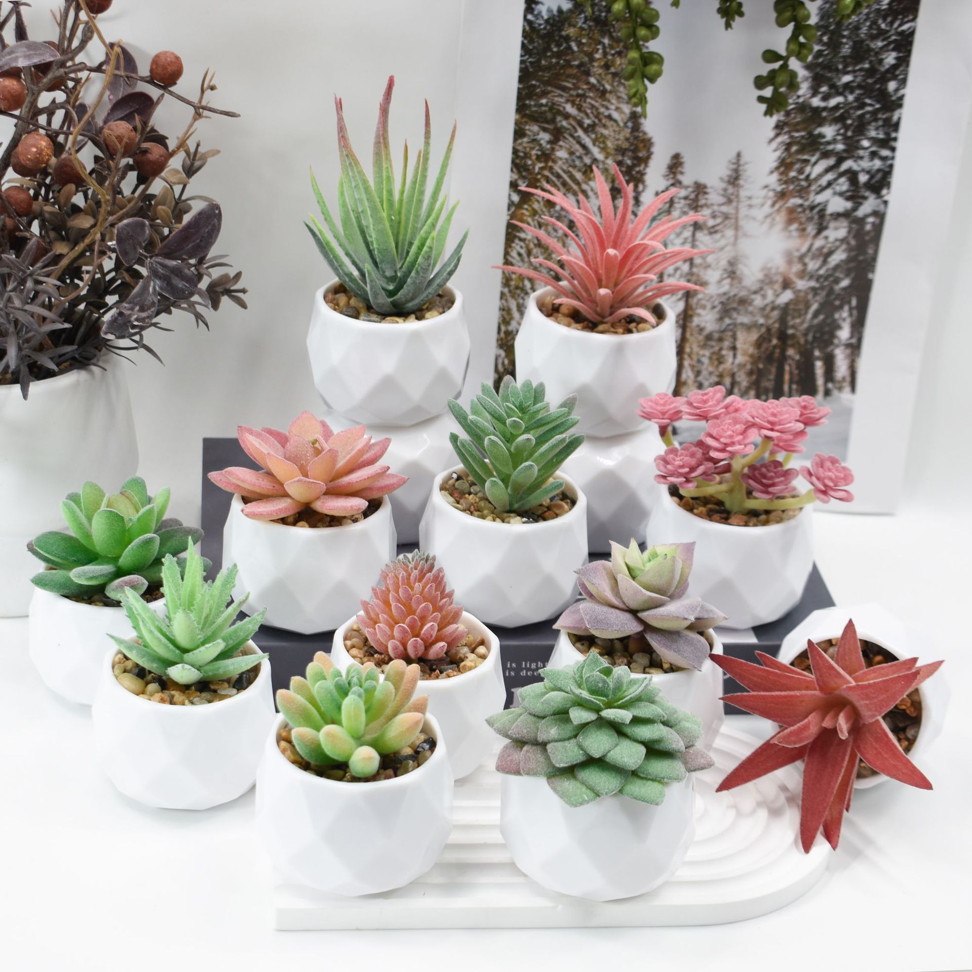 Mini Artificial Plants Simulat – Cactus Mix Pot Bewertung und Preis
