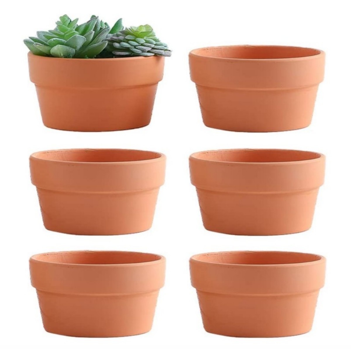 6 PCS Terracotta Buld Pots 3.5 – Cactus Mix Pot Bewertung und Preis