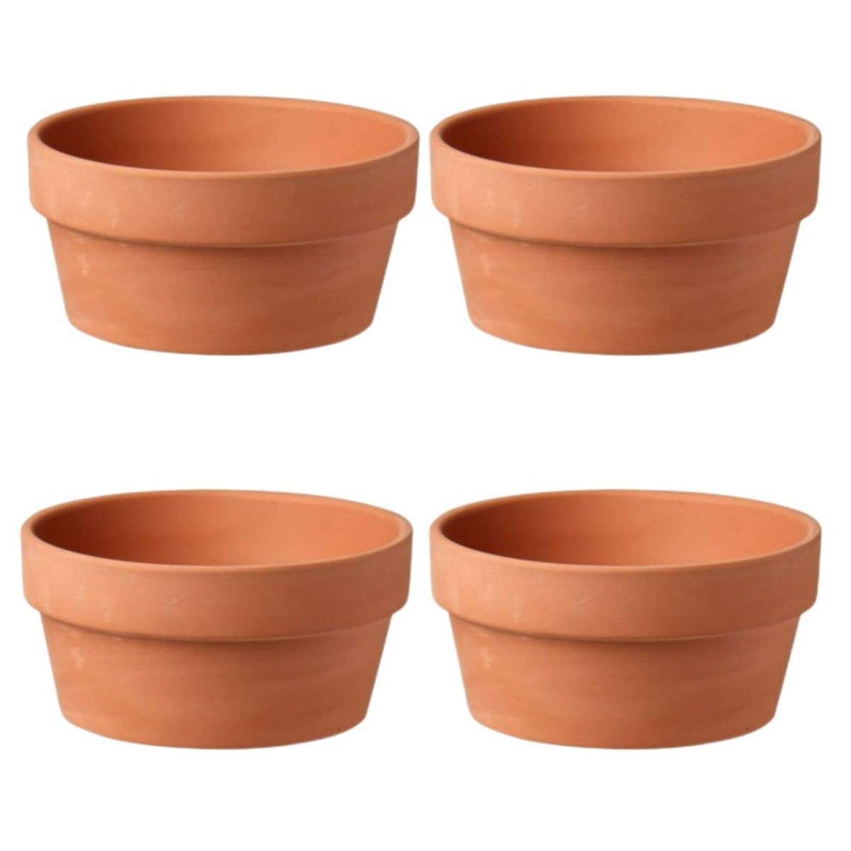6 PCS Terracotta Buld Pots 3.5 – Cactus Mix Pot Bewertung und Preis