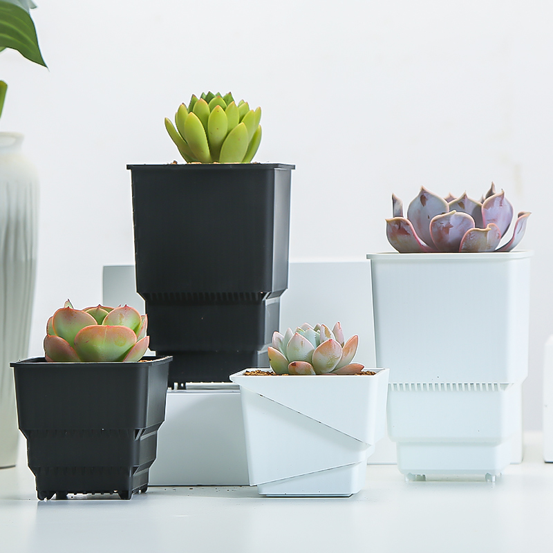 Meshpot Succulent Pot Plastic  – Cactus Mix Pot Bewertung und Preis
