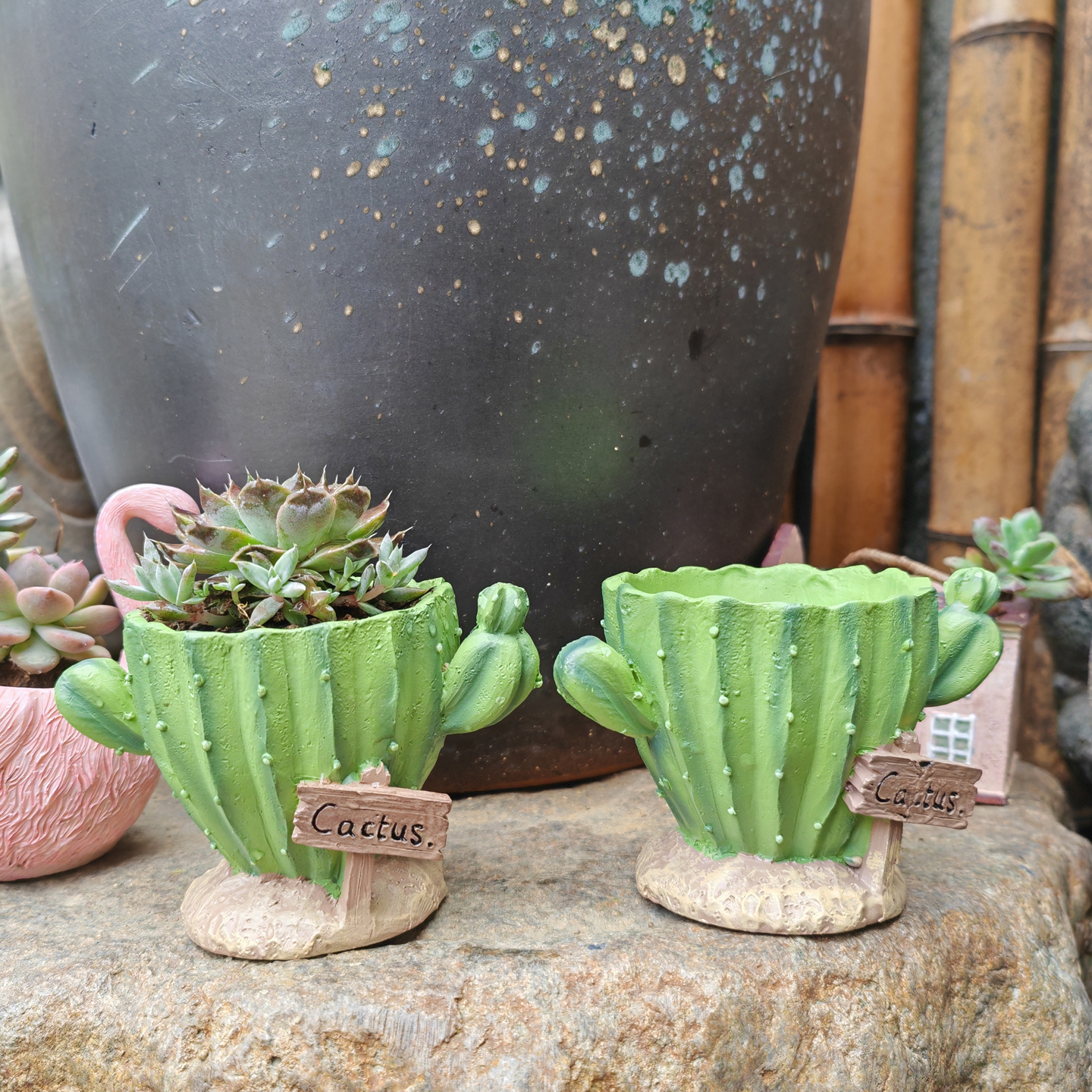 Cactus Flower Planter Pot Cute – Cactus Mix Pot Bewertung und Preis