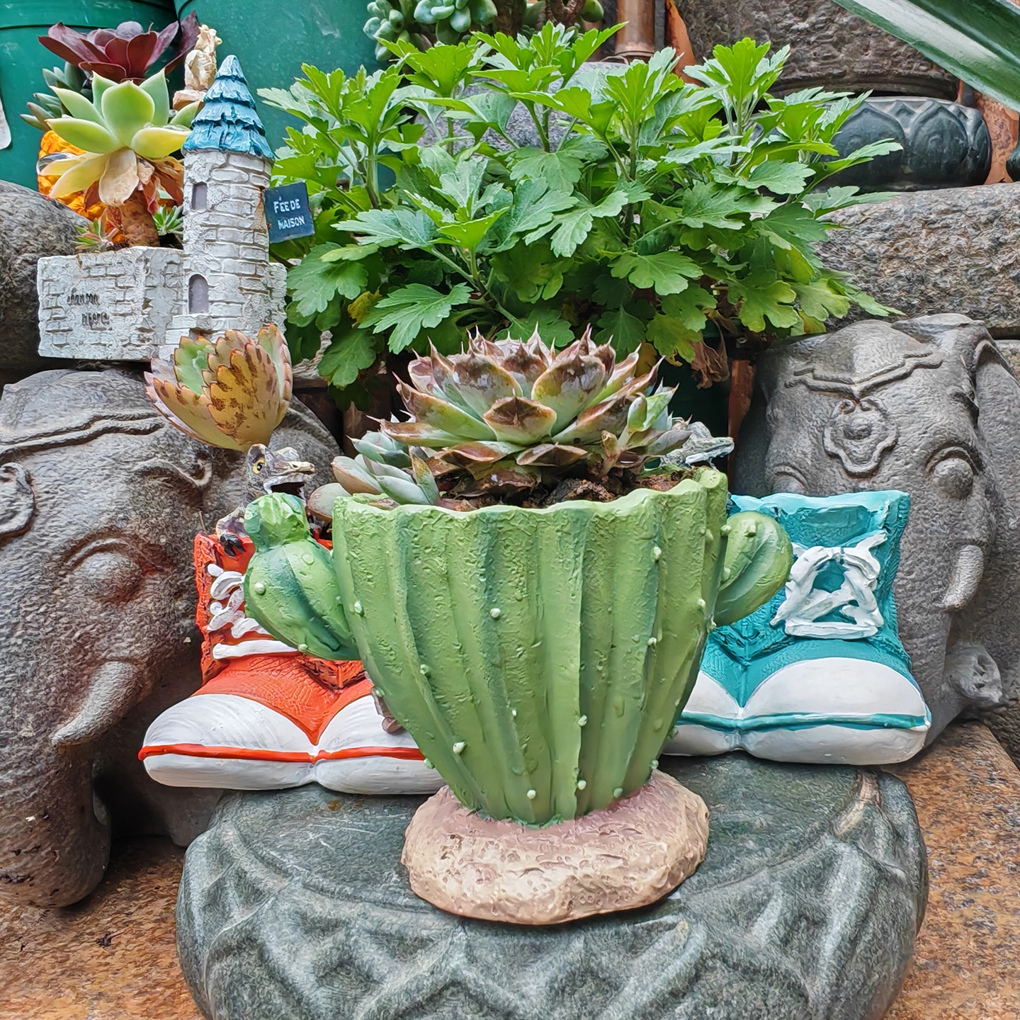 Cactus Flower Planter Pot Cute – Cactus Mix Pot Bewertung und Preis