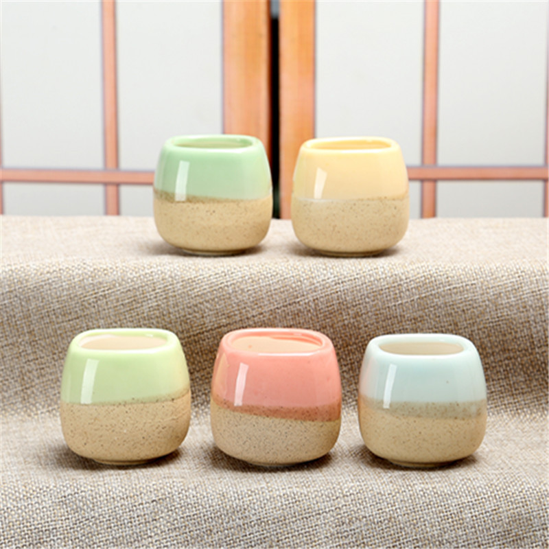 Mini Jelly Shape Cartoon Ceram – Cactus Mix Pot Bewertung und Preis