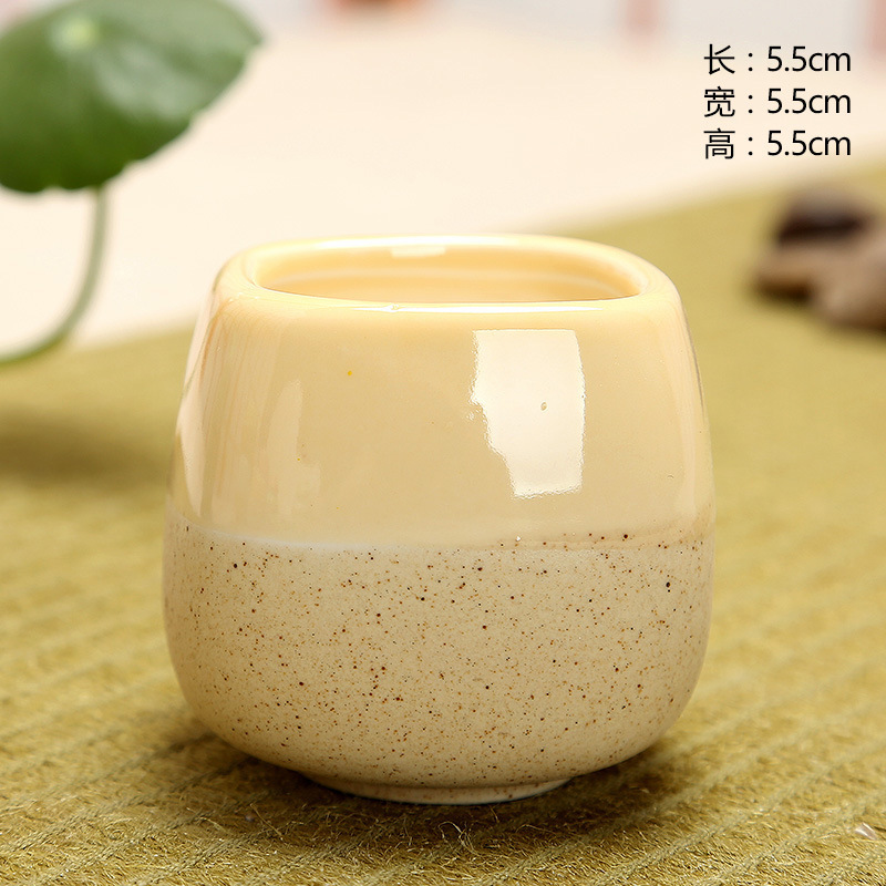 Mini Jelly Shape Cartoon Ceram – Cactus Mix Pot Bewertung und Preis