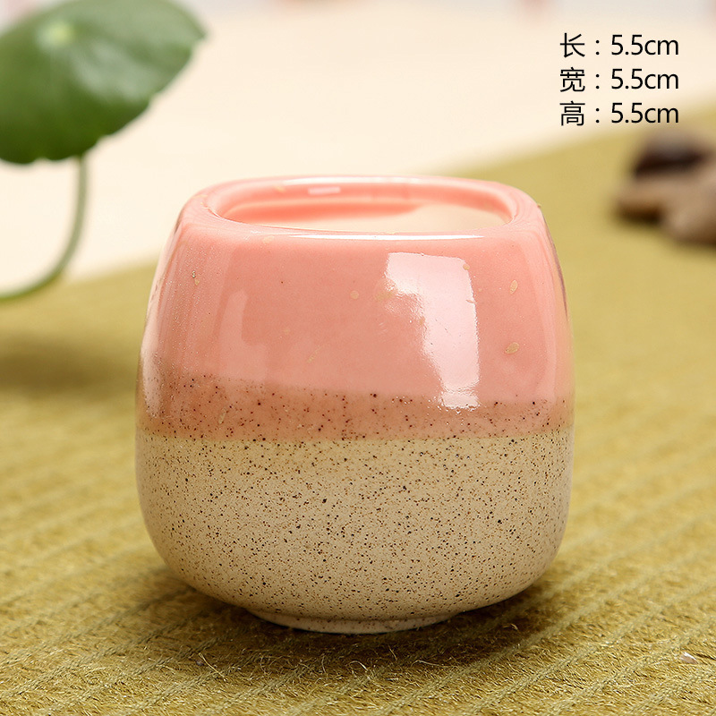 Mini Jelly Shape Cartoon Ceram – Cactus Mix Pot Bewertung und Preis