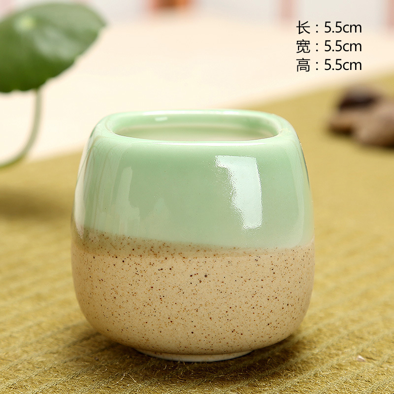 Mini Jelly Shape Cartoon Ceram – Cactus Mix Pot Bewertung und Preis