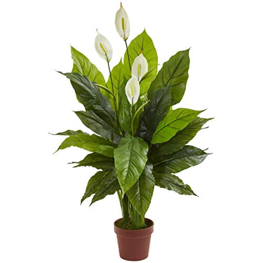 42in Artificial Peace Lily Pla – Peace Lily White Bewertung und Preis