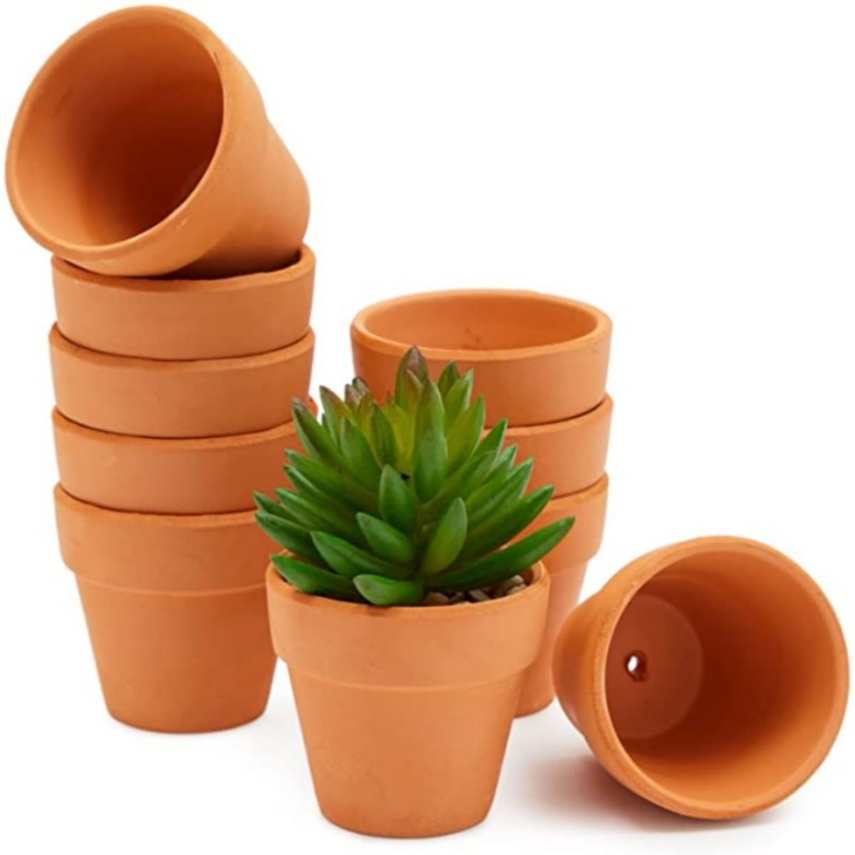 16 Pcs 1.8'' Terra Cotta Pots  – Cactus Mix Pot Bewertung und Preis