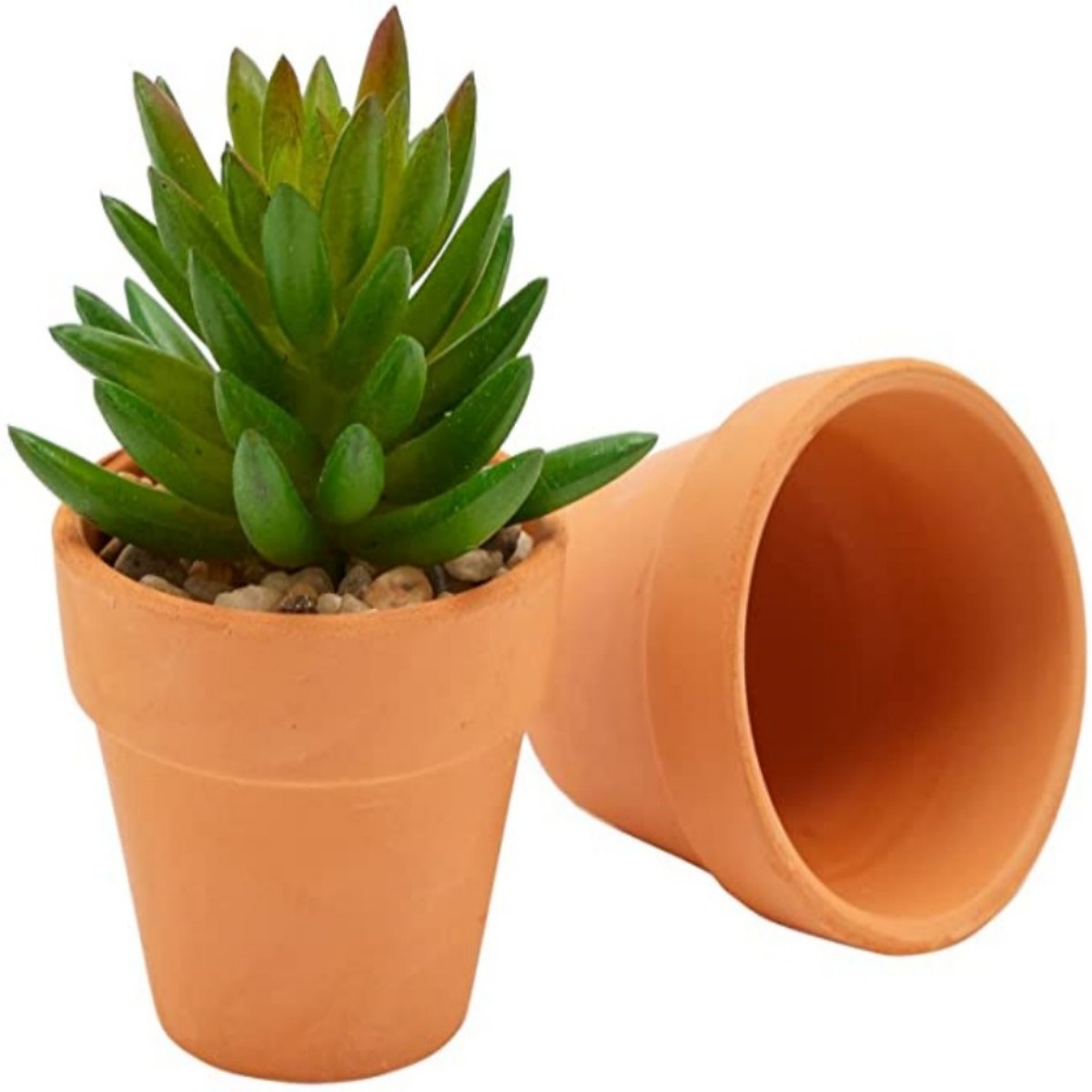 16 Pcs 1.8'' Terra Cotta Pots  – Cactus Mix Pot Bewertung und Preis