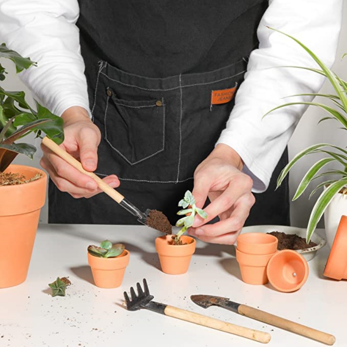 16 Pcs 1.8'' Terra Cotta Pots  – Cactus Mix Pot Bewertung und Preis