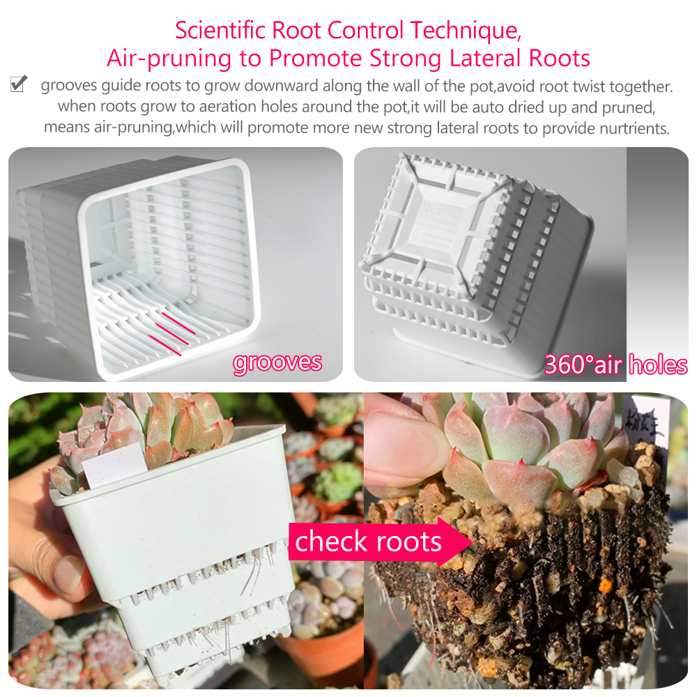 Meshpot Succulent Pot Set Cact – Cactus Mix Pot Bewertung und Preis
