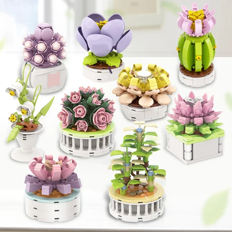Block City DIY Potted Plants S – Cactus Mix Pot Bewertung und Preis