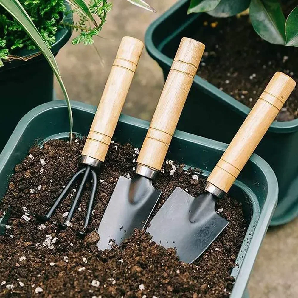 3Pcs/Set Mini Garden Tool Set  – Cactus Mix Pot Bewertung und Preis