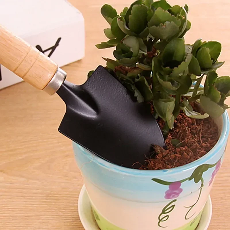 3Pcs/Set Mini Garden Tool Set  – Cactus Mix Pot Bewertung und Preis