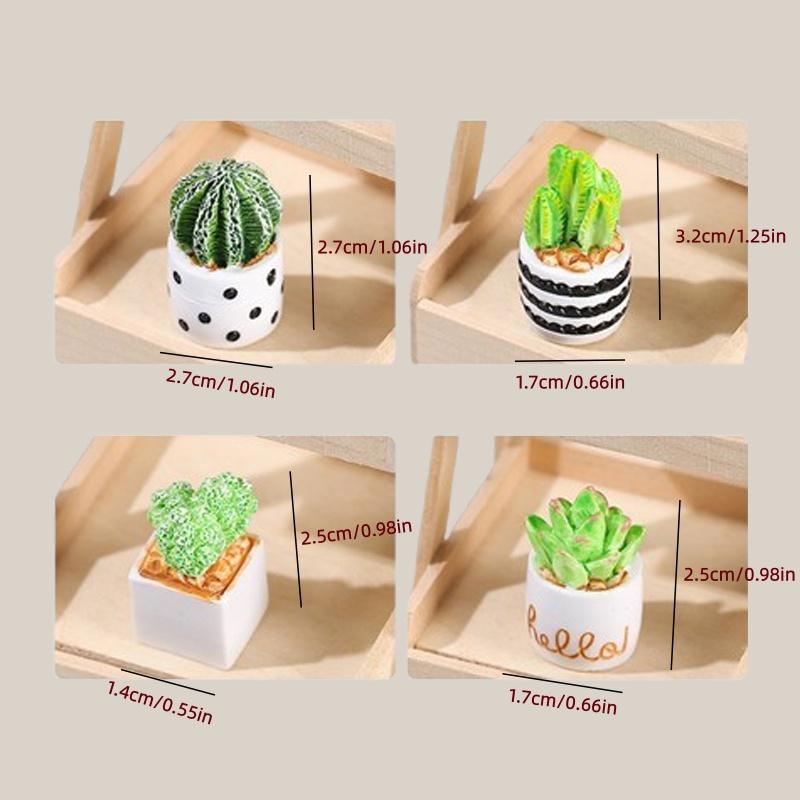 4-Piece Set of Cactus Succulen – Cactus Mix Pot Bewertung und Preis