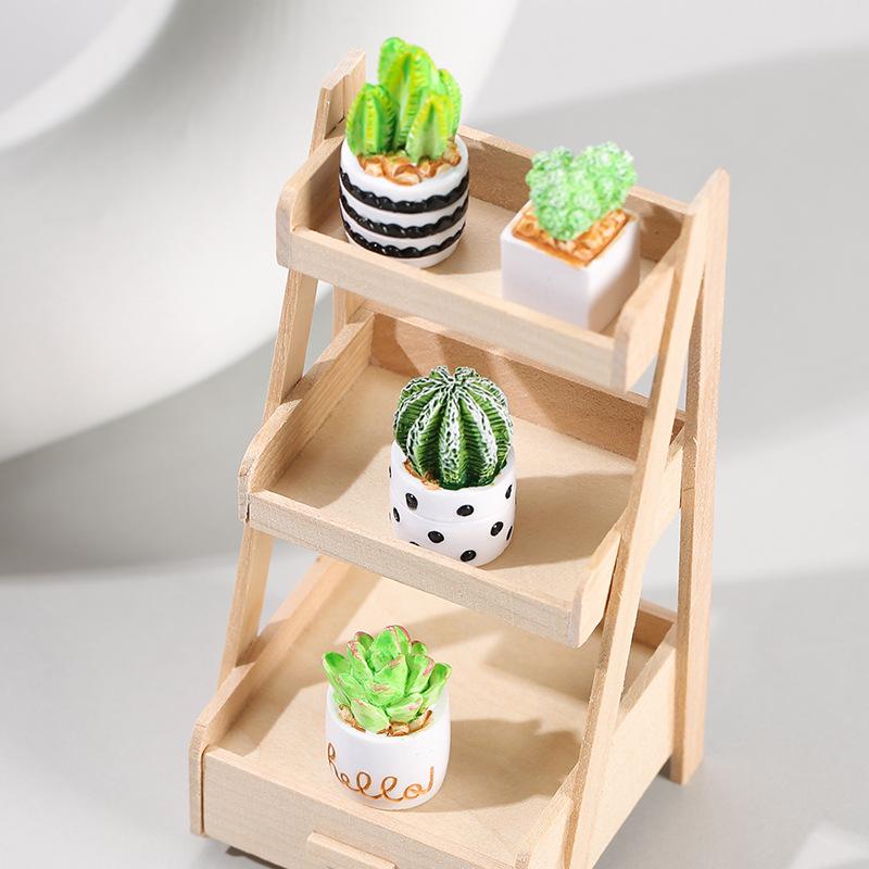 4-Piece Set of Cactus Succulen – Cactus Mix Pot Bewertung und Preis