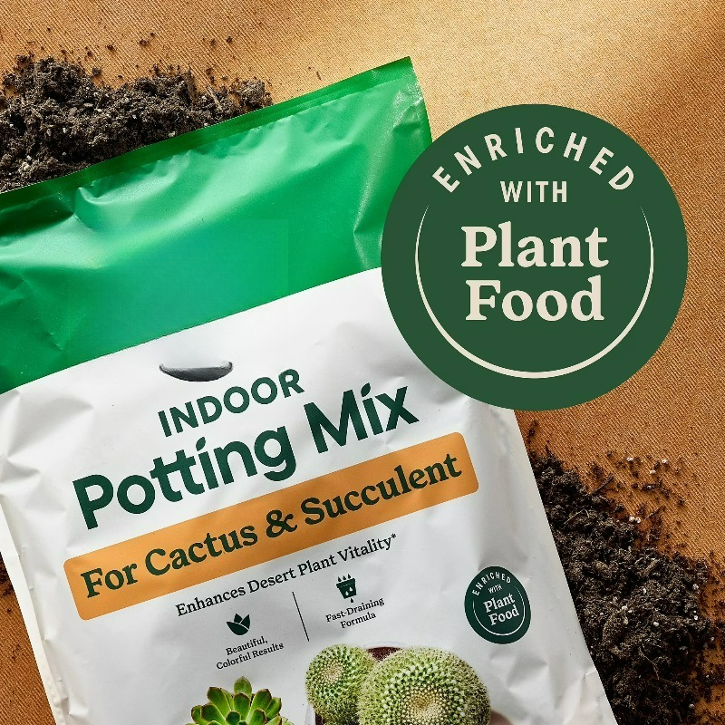 (2 pack)  Indoor Potting Mix f – Cactus Mix Pot Bewertung und Preis