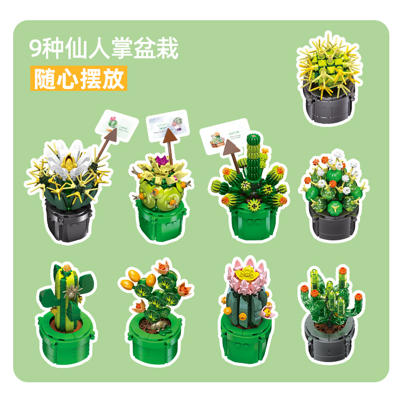 JIE-STAR JJ9175 Cactus Succule – Cactus Mix Pot Bewertung und Preis