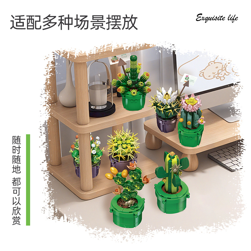 JIE-STAR JJ9175 Cactus Succule – Cactus Mix Pot Bewertung und Preis