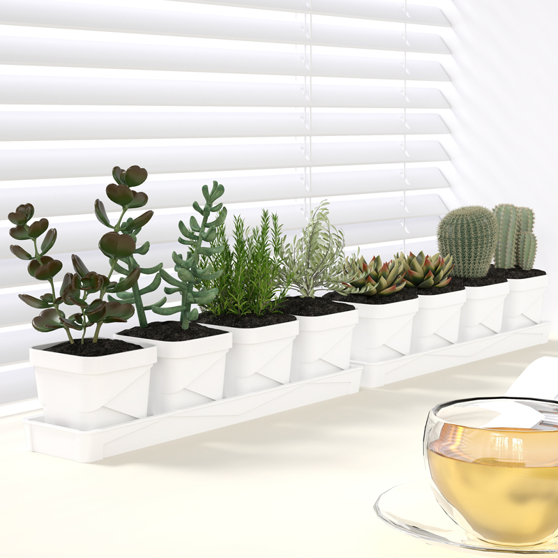 Nordic Minimalist Succulent Po – Cactus Mix Pot Bewertung und Preis