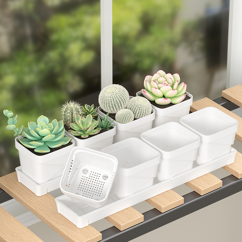 Nordic Minimalist Succulent Po – Cactus Mix Pot Bewertung und Preis