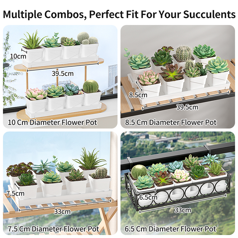 Nordic Minimalist Succulent Po – Cactus Mix Pot Bewertung und Preis