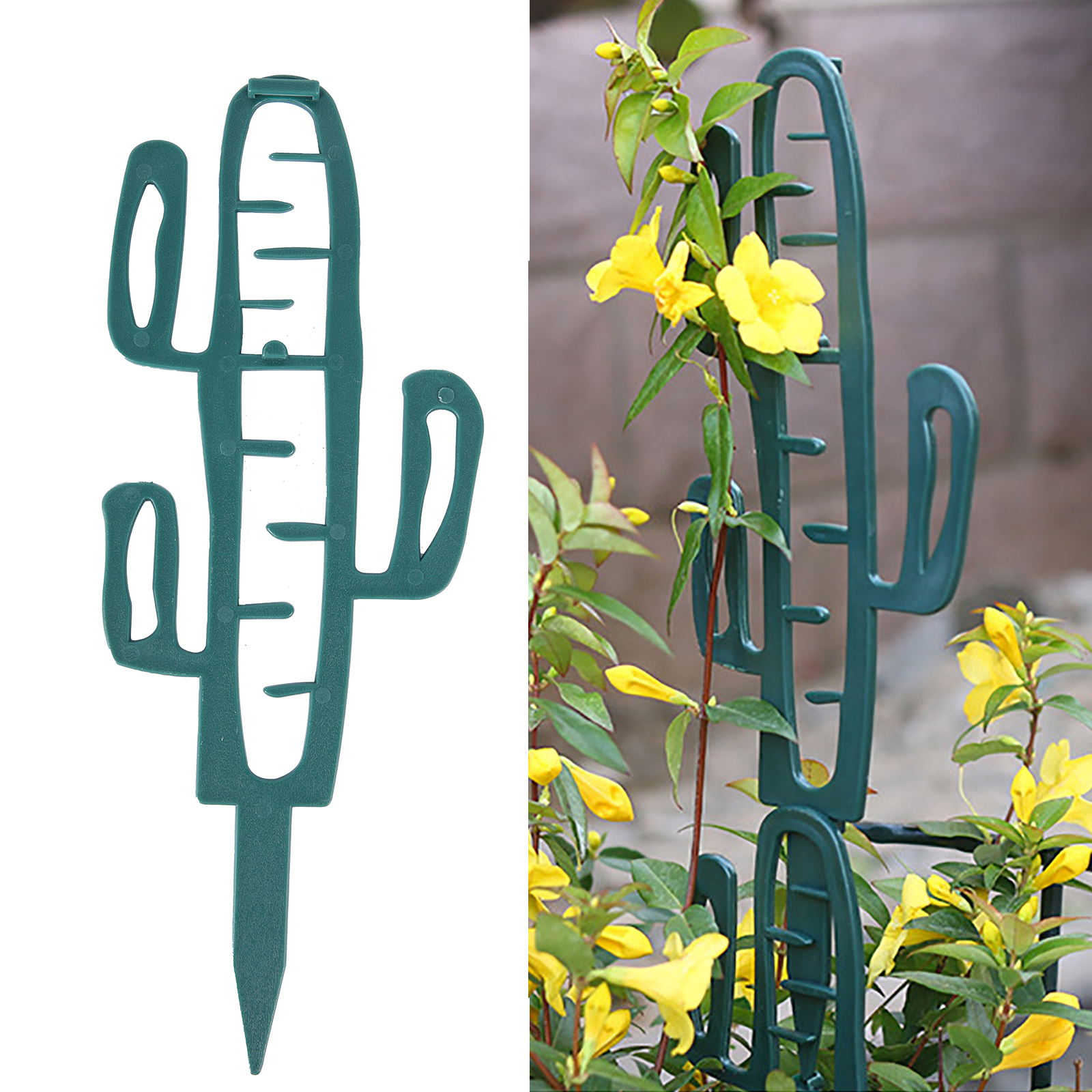 Plant Climbing Support Stand F – Cactus Mix Pot Bewertung und Preis