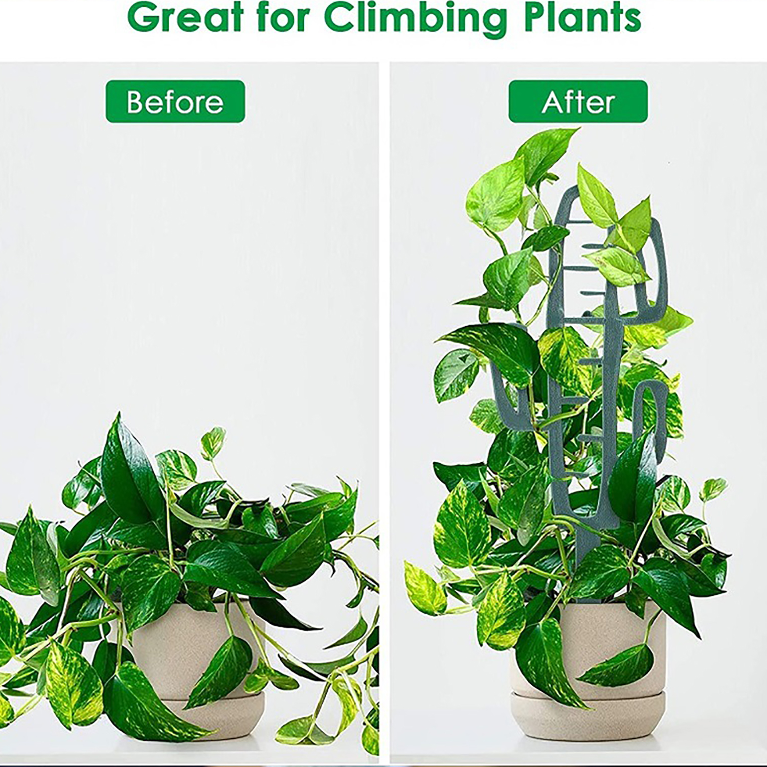 Plant Climbing Support Stand F – Cactus Mix Pot Bewertung und Preis