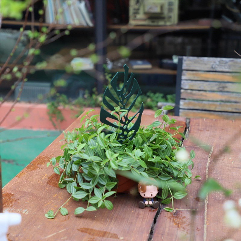 Plant Climbing Support Stand F – Cactus Mix Pot Bewertung und Preis
